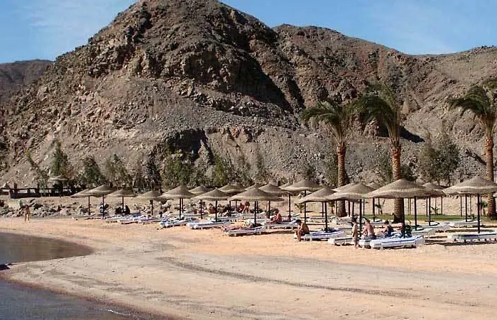 Sol Y Mar Sea Star Taba