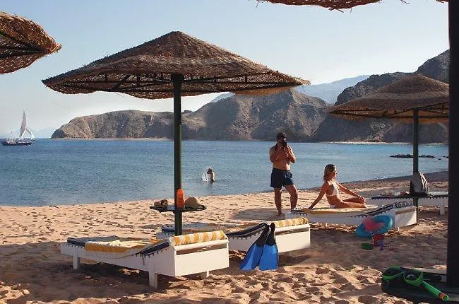 Resort Sol Y Mar Sea Star
